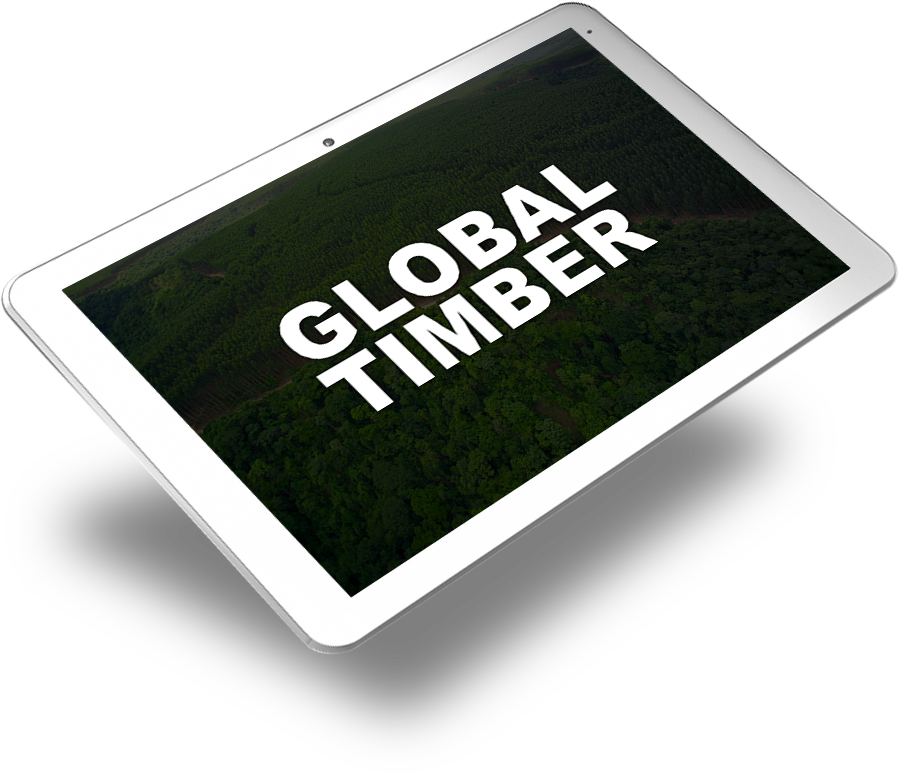 GLOBAL TIMBER