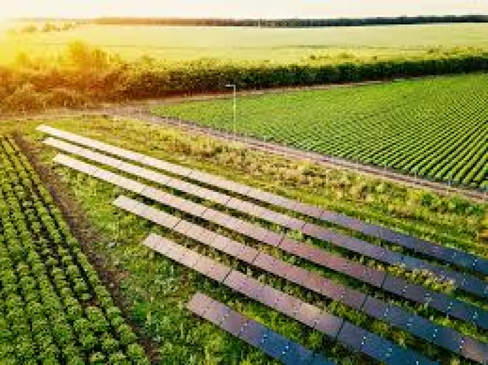 Sustentabilidade será moeda de troca do agronegócio brasileiro