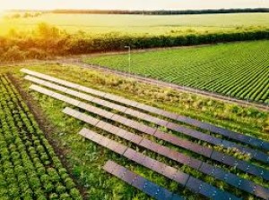 Sustentabilidade será moeda de troca do agronegócio brasileiro