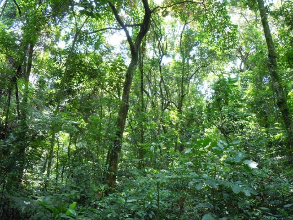 CONSERVAÇÃO DE RECURSOS NATURAIS
