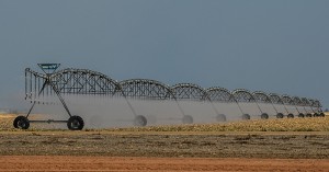 CARACTERÍSTICAS DO AGRO NORTE AMERICANO