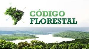 Revisão Novo Codigo Florestal