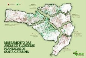 Santa Catarina Destaque Nacional na Industria da Madeira