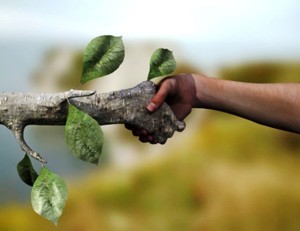 Licenciamento Ambiental de Operação